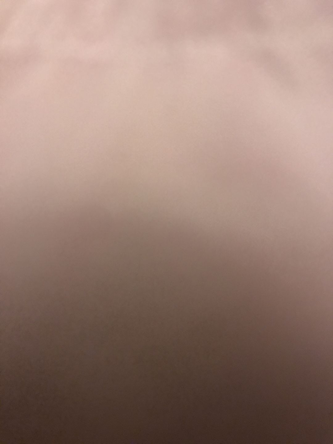 Customer photo review of Seamless Bust Support Back Fat Smoothing Bra