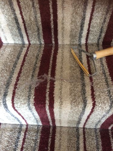 Customer photo review of Lint Swept™ Lint Roller Shaver