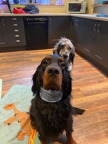 Customer photo review of SKY - Snood