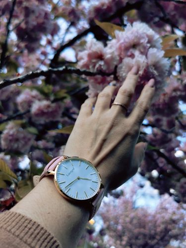 Customer photo review of Rosé Edition