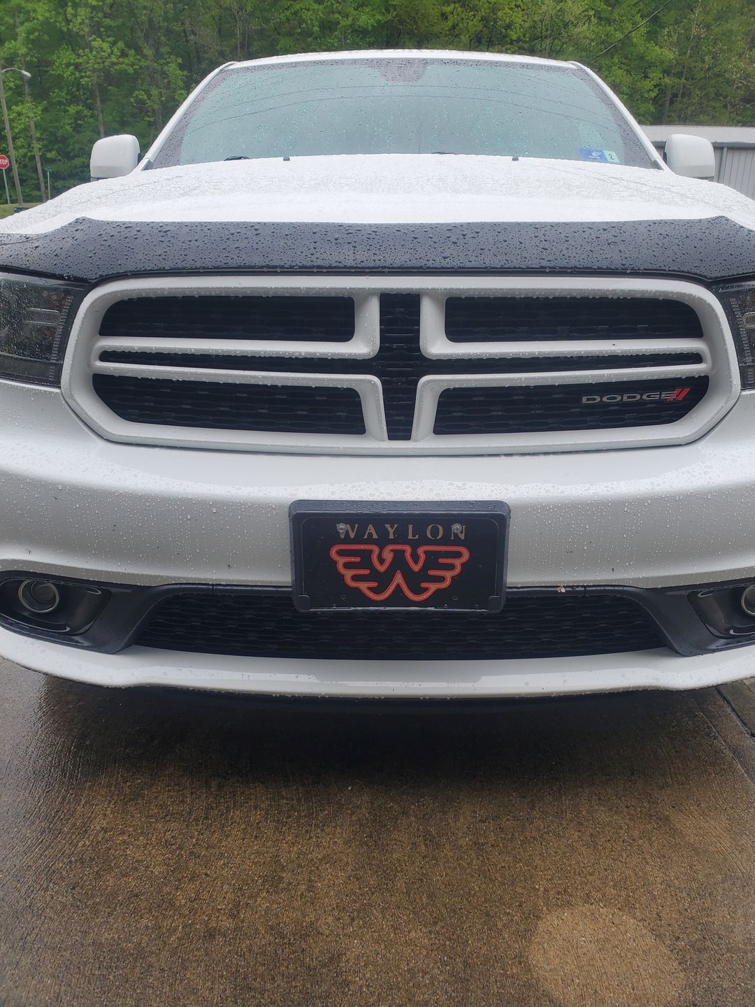 Customer photo review of Waylon Jennings Flying W License Plate
