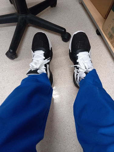 Aristotle F. review of ADIDAS MEN'S COURT VISION 2.0 image 1 out of 1