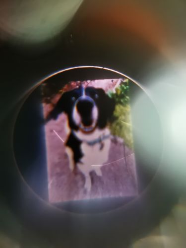 Customer photo review of Herz Halskette mit Wunschfoto