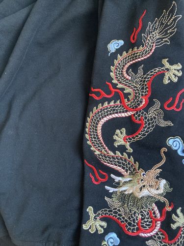 Customer photo review of Fiery Pearl Dragon Embroidered Hoodie