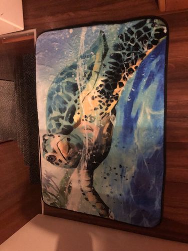 Customer photo review of Turtle Turquoise Door Mat