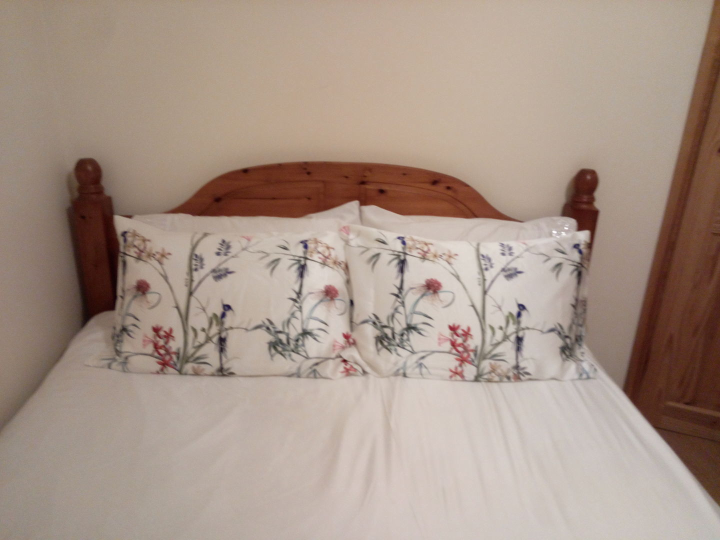Customer photo review of Hummingbird Pure Silk Pillowcase