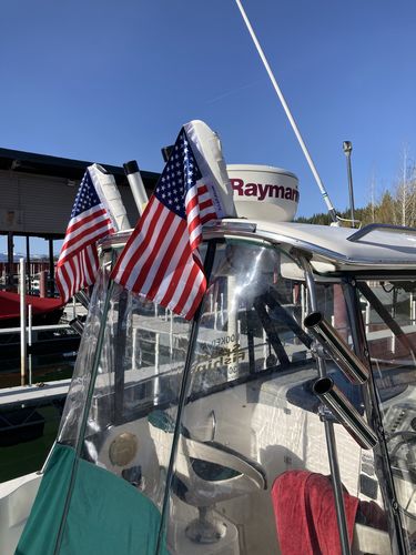 Customer photo review of American Flag