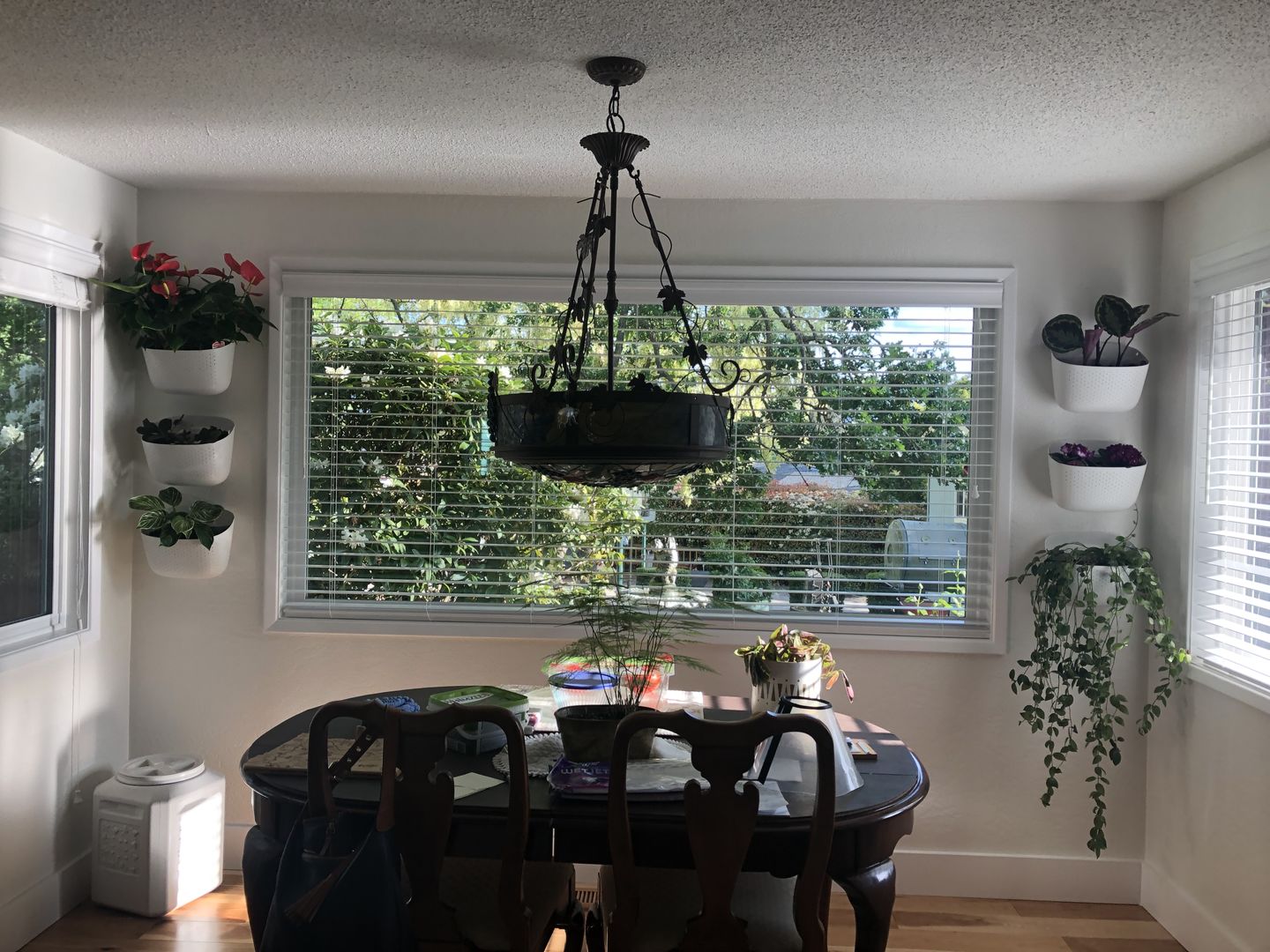 Customer photo review of Eco White Wall Planter