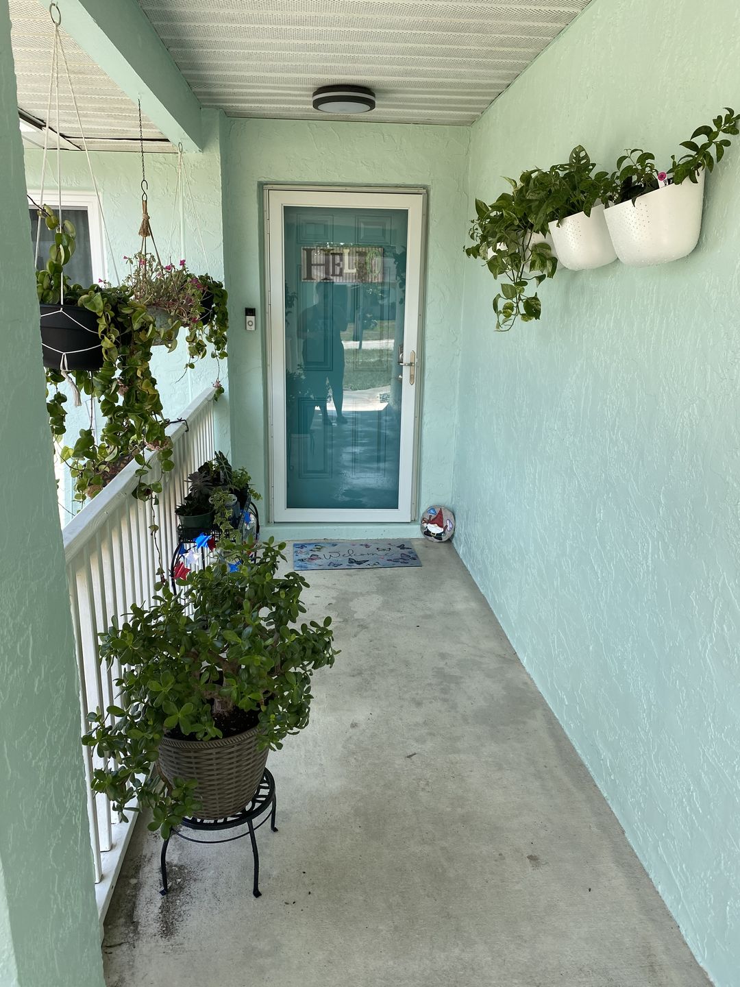 Customer photo review of Eco White Wall Planter (Estimated shipping 6/1)