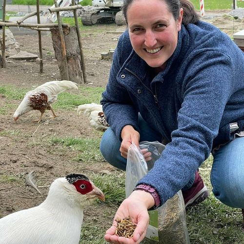 Customer photo review of BlackTasty™ Futtermittel aus Insekten