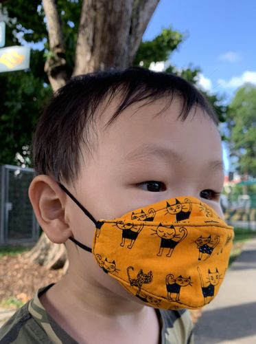 Customer photo review of SSOL Panel Mask Pattern