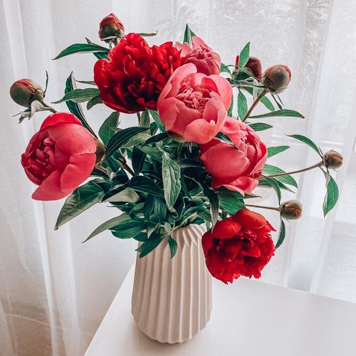 Customer photo review of VIBRANT DREAM LIGHTROOM PRESETS