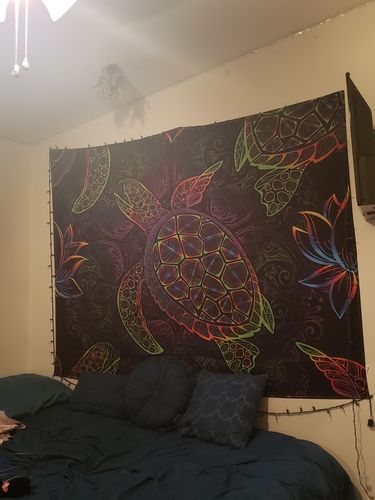 Customer photo review of Night-glow Turtles SW0474 Tapestry