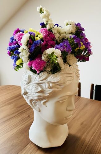 Customer photo review of Muse Flower Pot