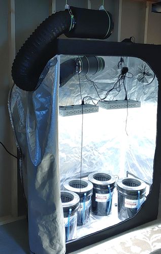 Customer photo review of AC Infinity Grow Tent Ventilation Kit Pro, 6 Inch