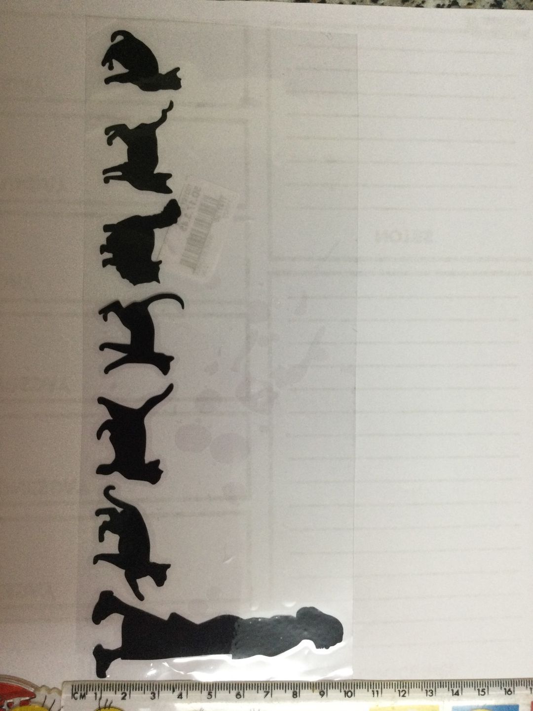 Customer photo review of Crazy Cat Lady Decals