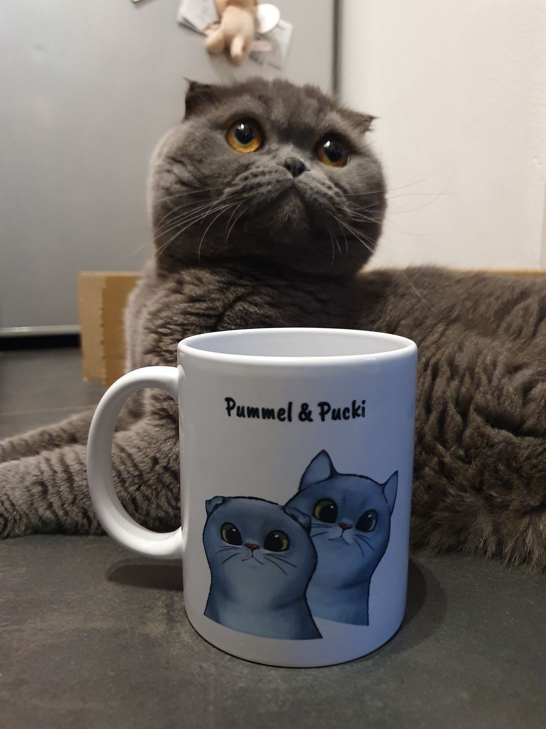 Customer photo review of Neugierige Katzen - Individuelle Tasse