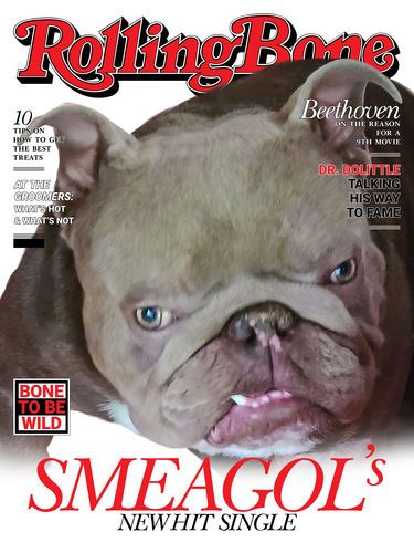 Customer photo review of Posing Pig Custom Print