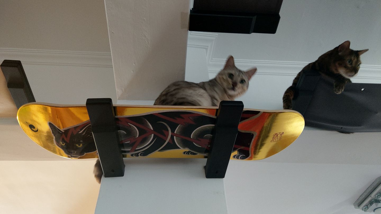 Customer photo review of Electric Cat Skate Decks
