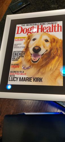 Customer photo review of Posing Pig Custom Print