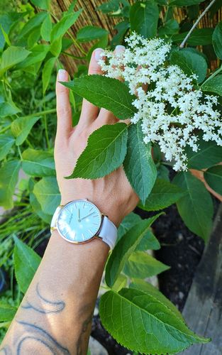 Customer photo review of Classic Gold Cognac