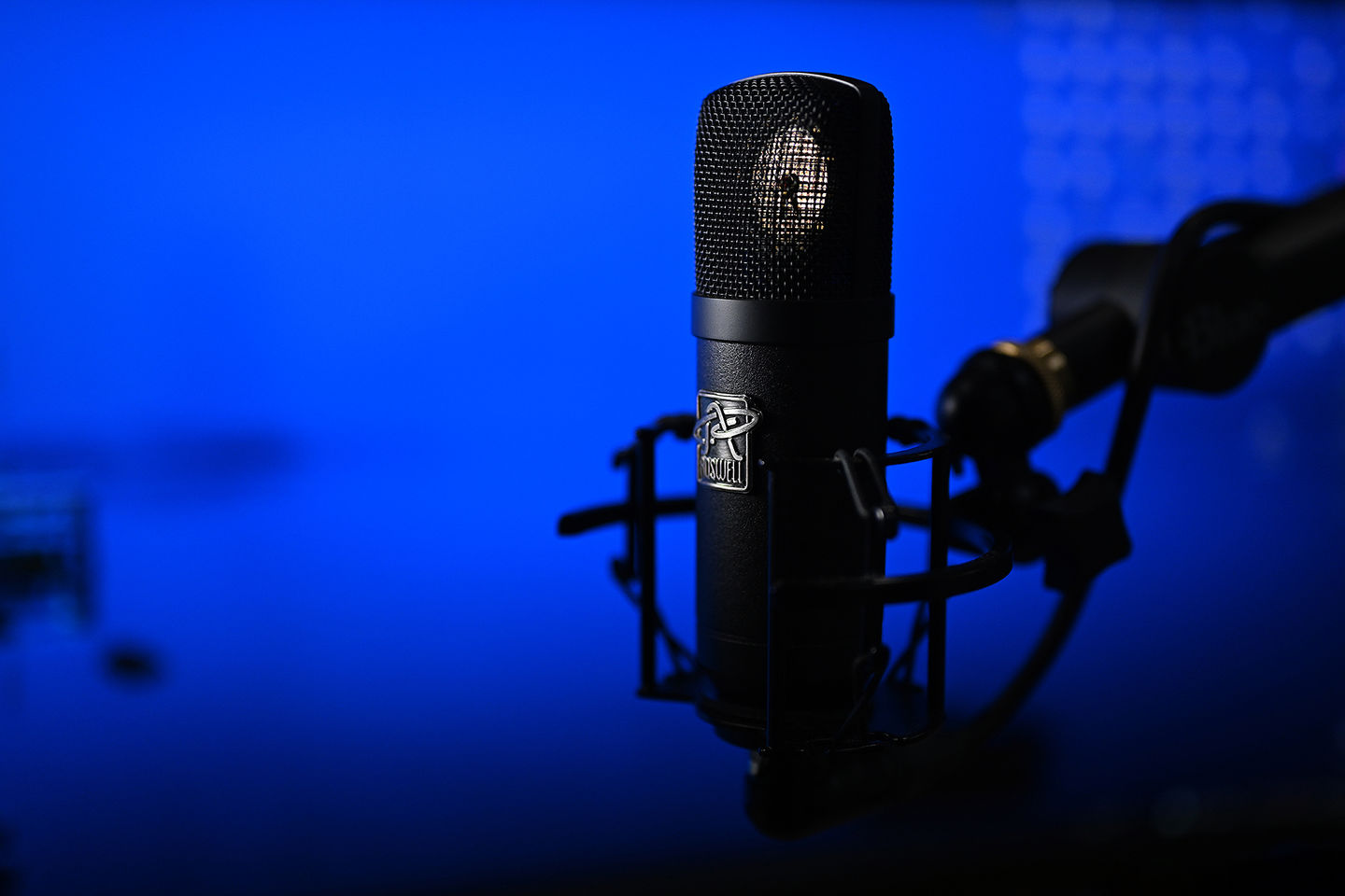 Customer photo review of Mini K47 Condenser Microphone