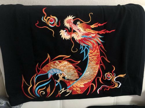 Customer photo review of Harajuku Style Dragon Embroidered Tee