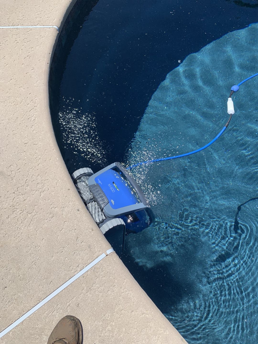 Customer photo review of NEW Maytronics Dolphin M600 Robotic Pool Cleaner