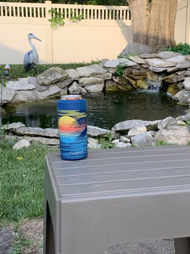 Customer photo review of Universal Buddy 2.0 | Sunset