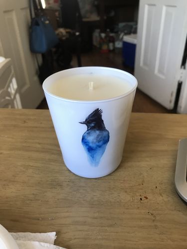 Customer photo review of Coconut Wax Candle, The Stellar Jay