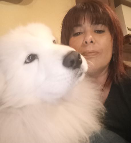 Customer photo review of IMPERIAL FOOD HEALTH SENSITIVE