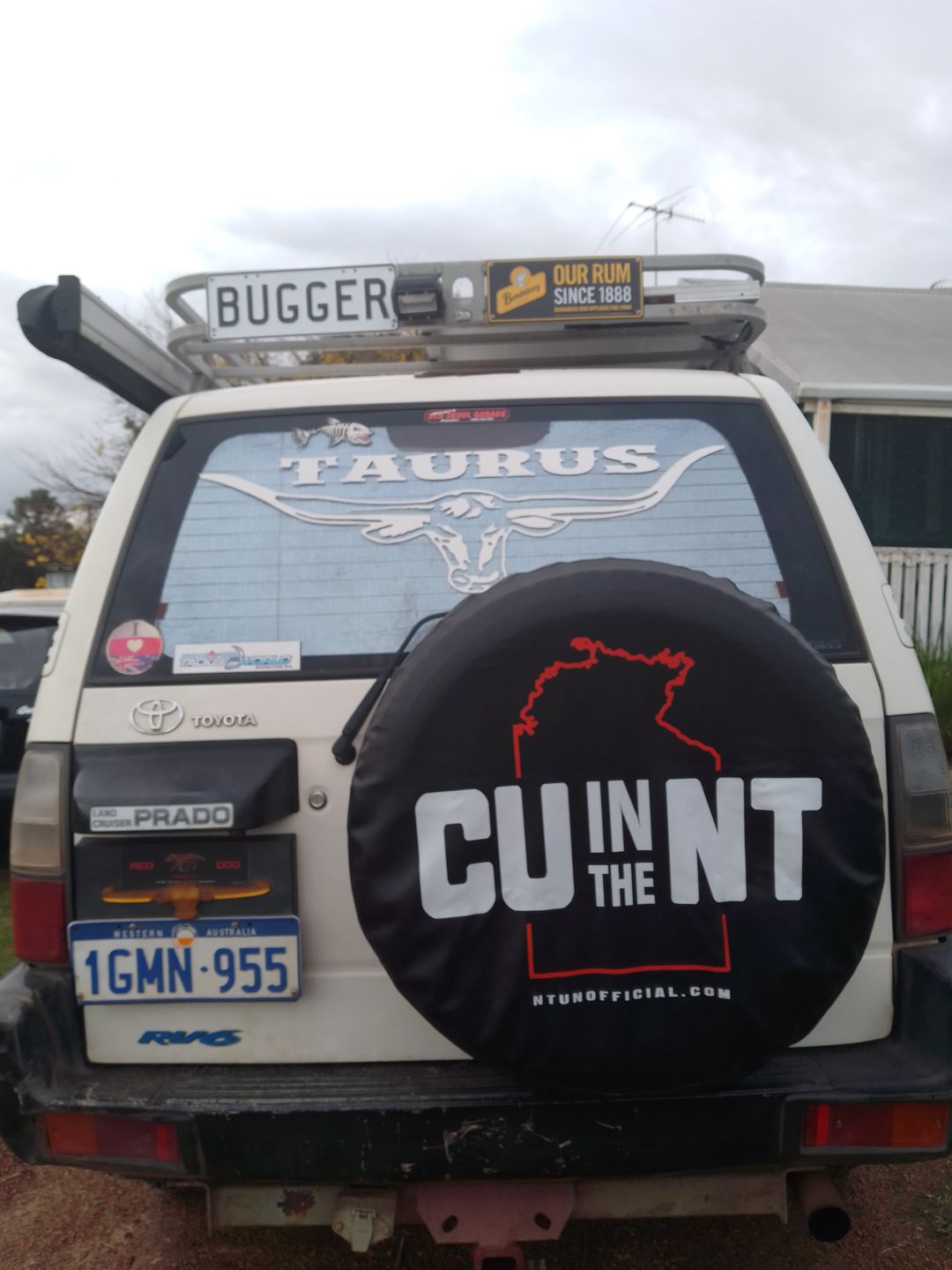 Customer photo review of NT Wheel Cover