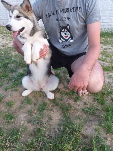 Customer photo review of T-shirt Unisexe Personnalisé - La Vie Est Plus Belle