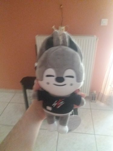 Customer photo review of Official Stray Kids SKZOO Plush (Original Ver)