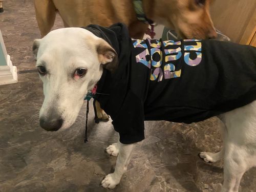 Customer photo review of Anti Social Dog Hoodie - Black