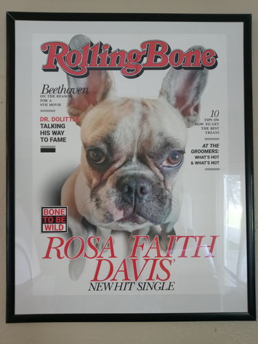 Customer photo review of Posing Pig Custom Print