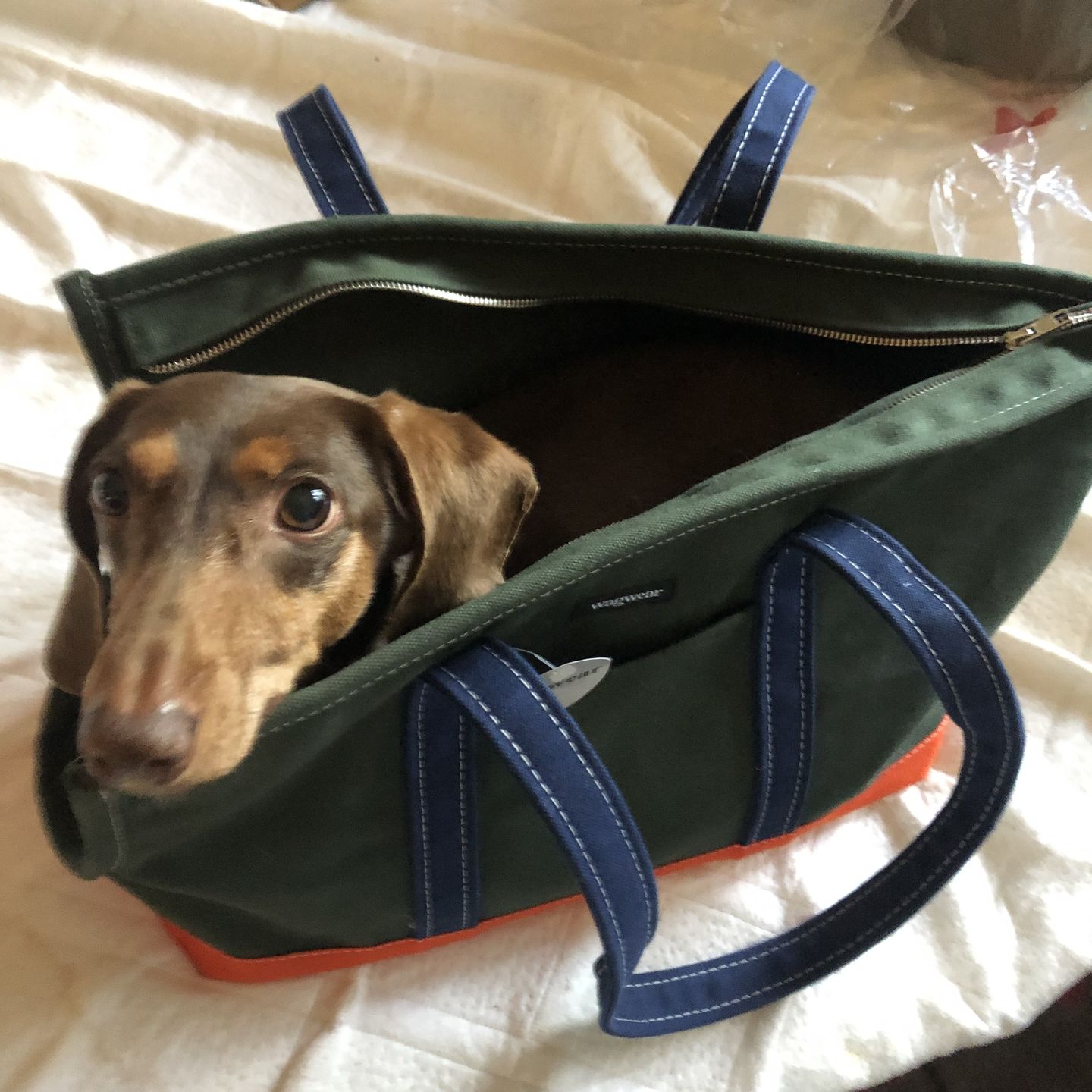 Customer photo review of Boat Canvas Carrier  -  Various Colors