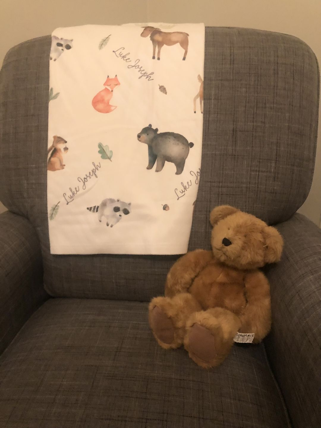Customer photo review of Woodland Animals Personalized Baby Blanket