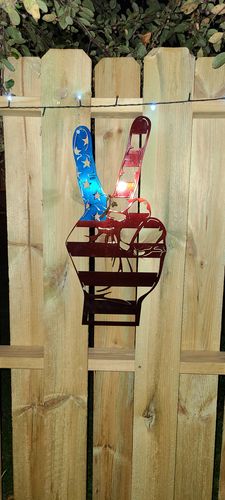 Customer photo review of Peace Sign Flag - US Flag