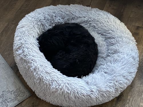 Customer photo review of Puppery Kuschelbett - Das Original
