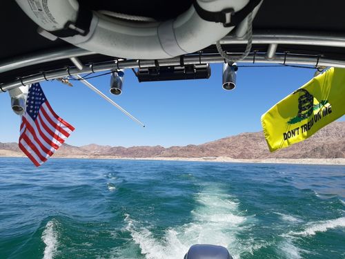 Customer photo review of Don't Tread On Me