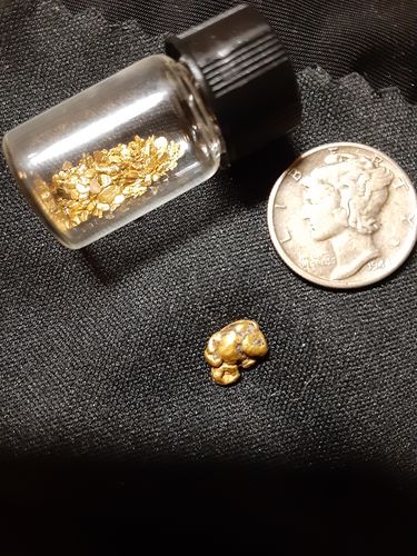 Customer photo review of Nugget Reserve 'MUSEUM SPECIMEN CHASE' - Gold Panning Paydirt Concentrate