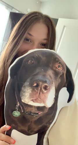 Customer photo review of Create A Custom Dog Pillow