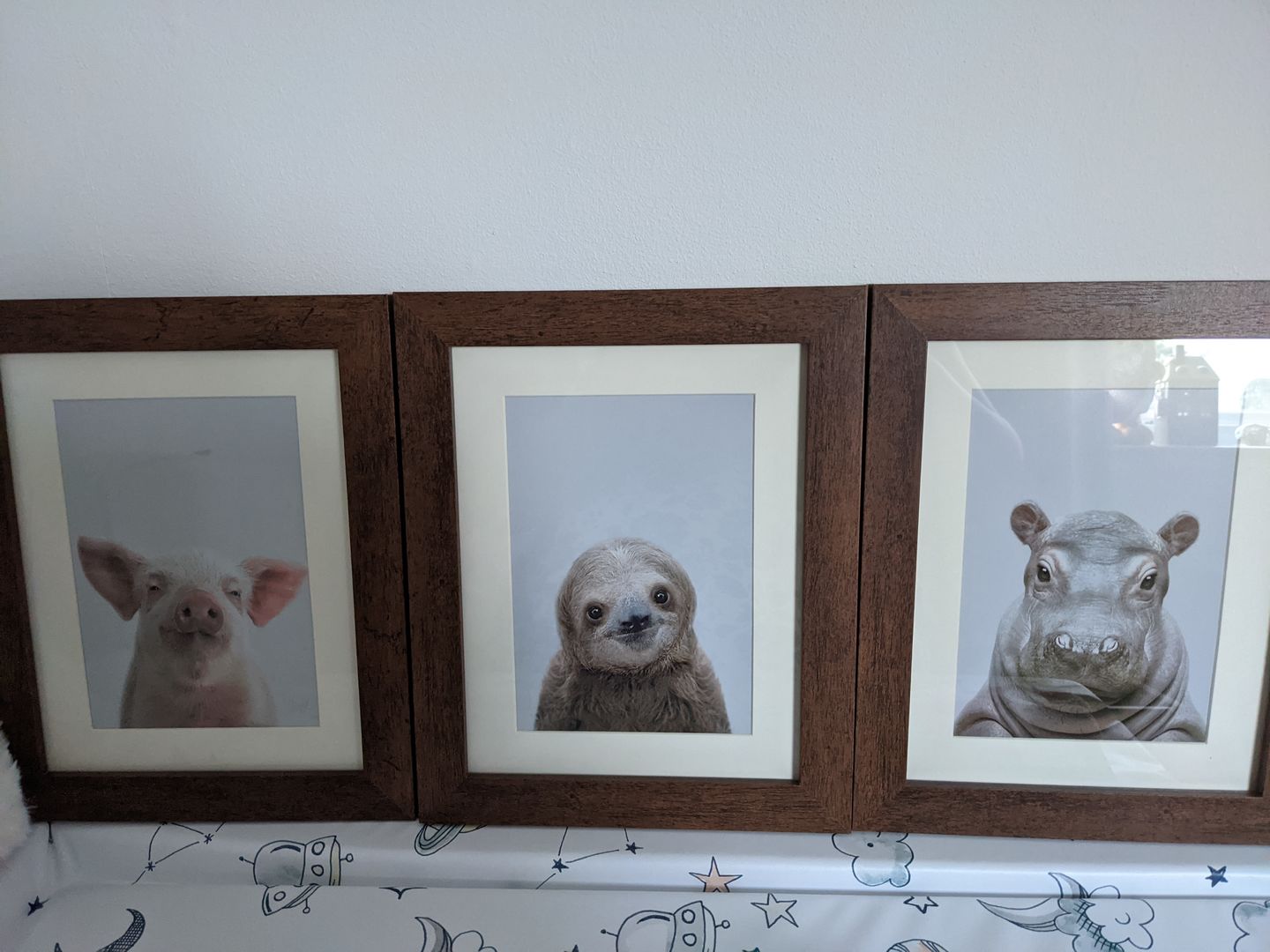 Customer photo review of Piglet Wall Art Print