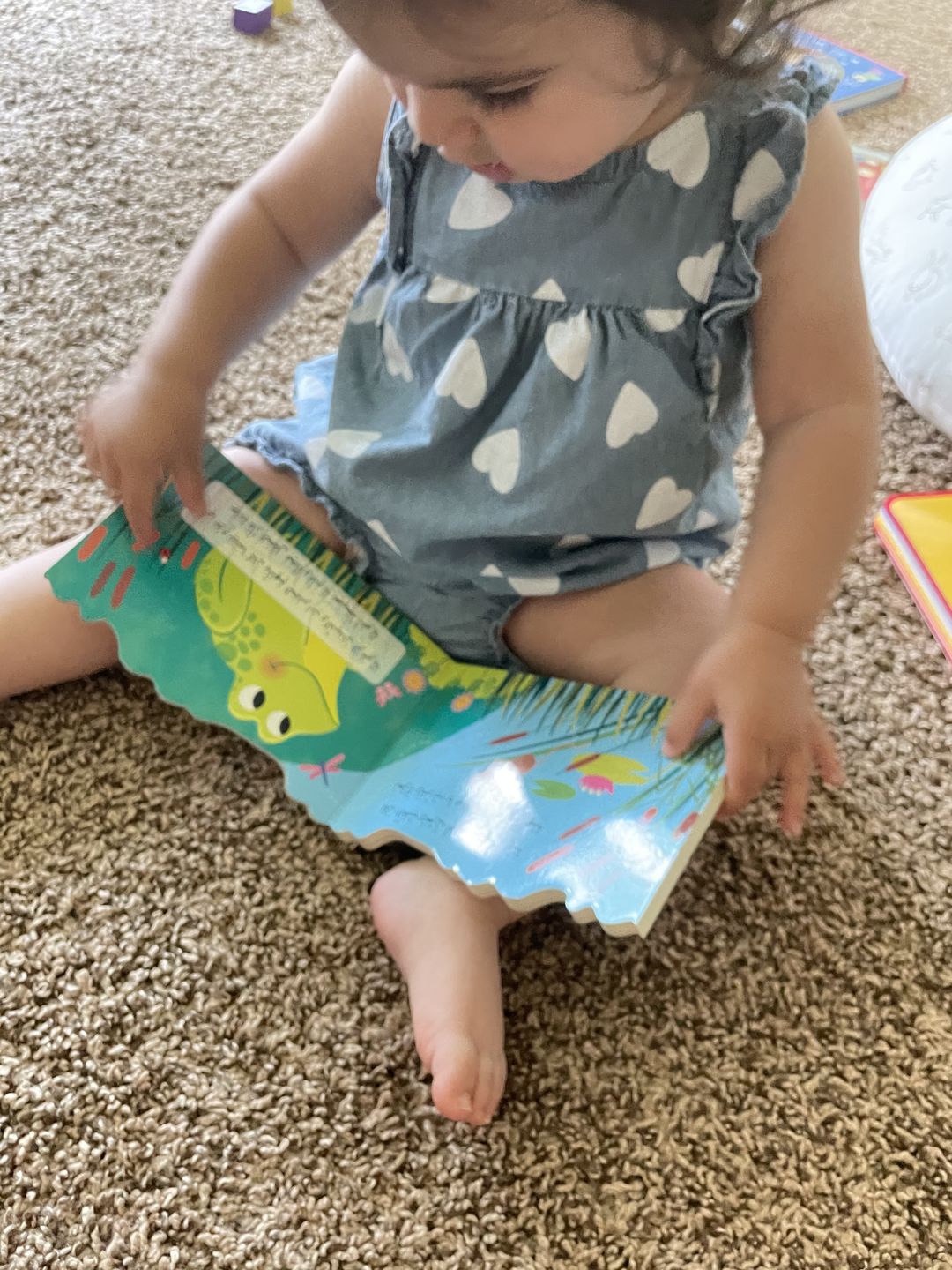 Customer photo review of Dafduua the Lazy Frog / ضفدوع الضفدع الكسول
