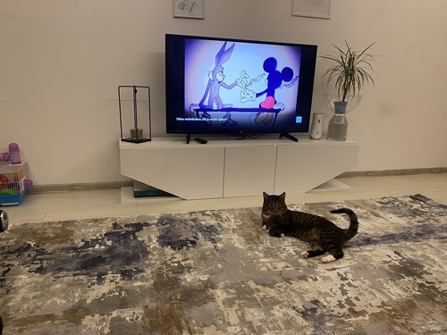 Customer photo review of Covor Premium Thasos - CVR 015