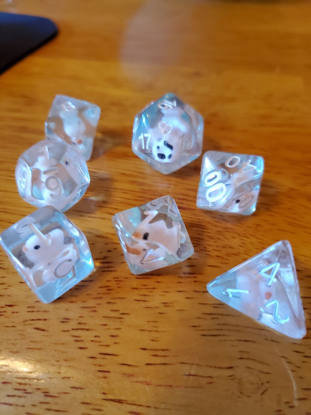 Customer photo review of Transparent Ducky - Dice Set