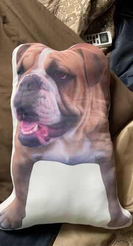 Customer photo review of Create A Custom Car Pillow