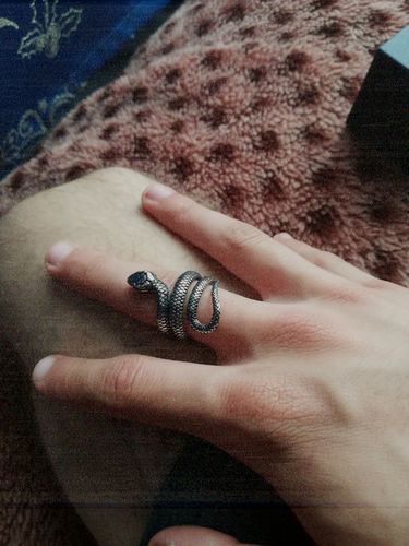 Customer photo review of SNAKE RING