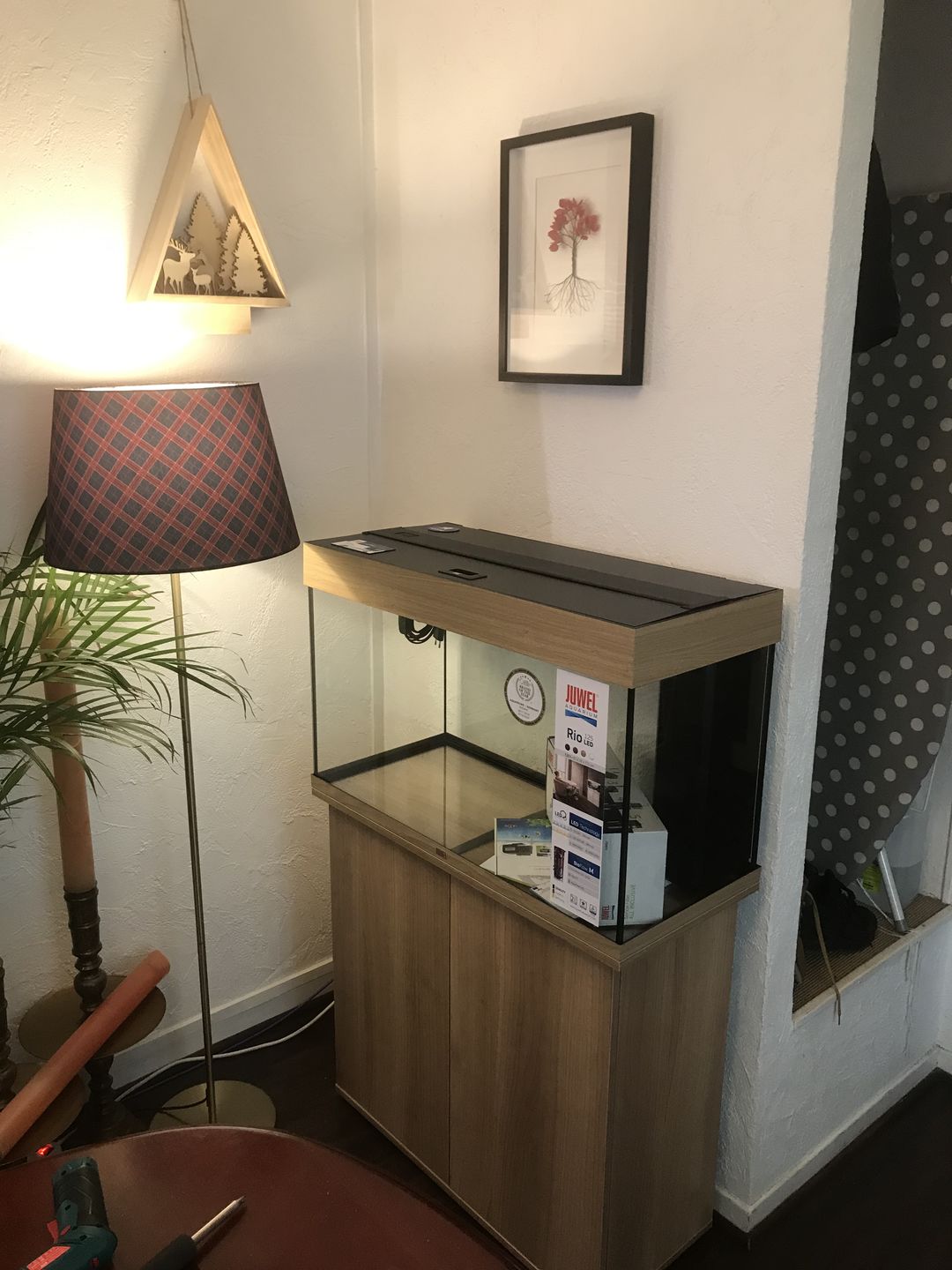 Customer photo review of Aquarium Rio 125 LED Chêne Équipé JUWEL - 125L